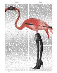 Flamingo with Kinky Boots | Obraz na stenu