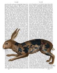 Hare and Black Leaves | Obraz na stenu