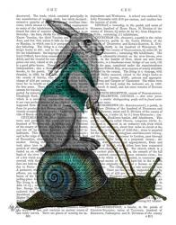 Hare and Snail | Obraz na stenu