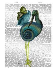 Snail Bird | Obraz na stenu