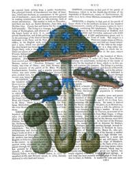 Psychedelic Mushrooms 1 | Obraz na stenu