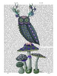 Owl on Mushrooms | Obraz na stenu