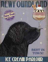 Newfoundland Ice Cream | Obraz na stenu