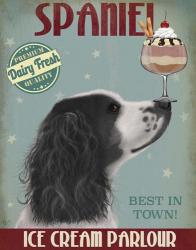 Springer Spaniel, Black and White, Ice Cream | Obraz na stenu