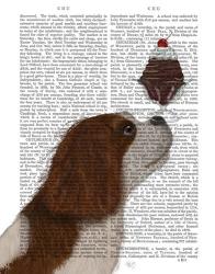 Cavalier King Charles, Brown White, Ice Cream | Obraz na stenu