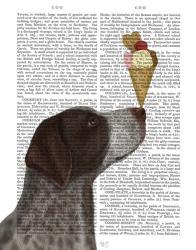 German Shorthaired Pointer Ice Cream | Obraz na stenu