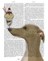 Greyhound, Tan, Ice Cream | Obraz na stenu