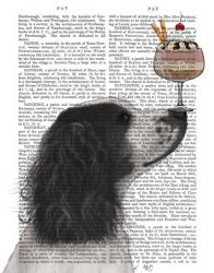 Springer Spaniel, Black and White, Ice Cream | Obraz na stenu