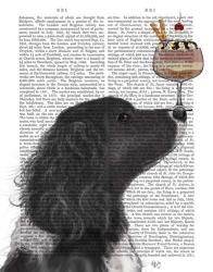 Springer Spaniel, Black, Bebe,Ice Cream | Obraz na stenu