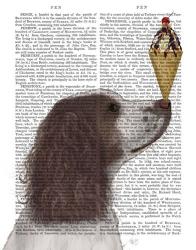 Springer Spaniel, Brown and White, Ice Cream | Obraz na stenu