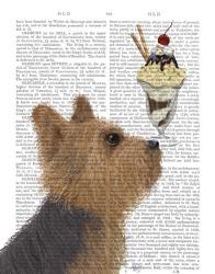 Yorkshire Terrier Ice Cream | Obraz na stenu