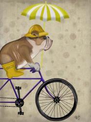 English Bulldog on Bicycle | Obraz na stenu