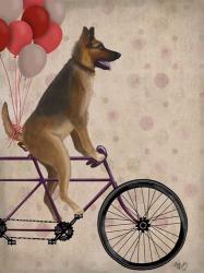 German Shepherd on Bicycle | Obraz na stenu