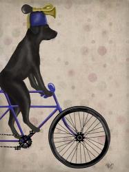 Black Labrador on Bicycle | Obraz na stenu