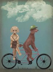 Poodle Tandem | Obraz na stenu