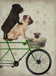 Pugs on Bicycle | Obraz na stenu