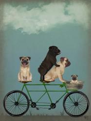 Pug Tandem | Obraz na stenu