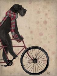 Schnauzer on Bicycle, Black | Obraz na stenu