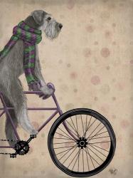 Schnauzer on Bicycle, Grey | Obraz na stenu