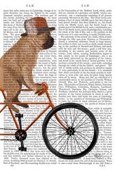 French Bulldog on Bicycle | Obraz na stenu