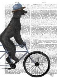 Poodle on Bicycle, Black | Obraz na stenu