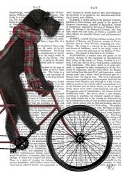 Schnauzer on Bicycle, Black | Obraz na stenu