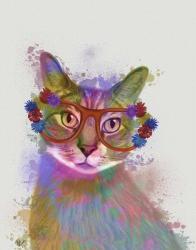 Rainbow Splash Cat 1 | Obraz na stenu