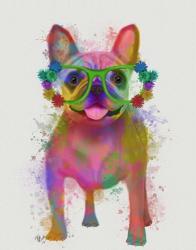 Rainbow Splash French Bulldog, Full | Obraz na stenu