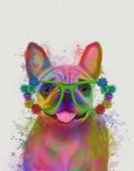 Rainbow Splash French Bulldog, Portrait | Obraz na stenu