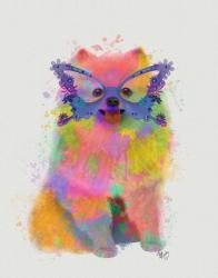 Rainbow Splash Pomeranian | Obraz na stenu