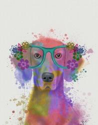 Rainbow Splash Weimaraner, Portrait | Obraz na stenu