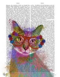 Rainbow Splash Cat 1 | Obraz na stenu