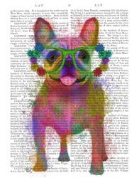 Rainbow Splash French Bulldog, Full | Obraz na stenu