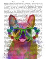 Rainbow Splash French Bulldog, Portrait | Obraz na stenu