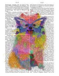 Rainbow Splash Pomeranian | Obraz na stenu
