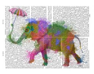 Rainbow Splash Elephant | Obraz na stenu