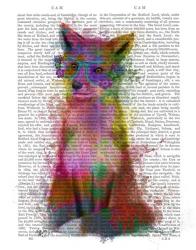 Rainbow Splash Fox 1 | Obraz na stenu