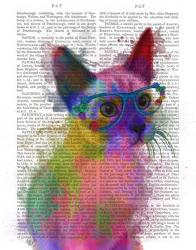 Rainbow Splash Cat 2 | Obraz na stenu