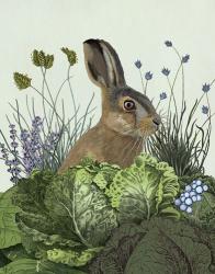 Cabbage Patch Rabbit 3 | Obraz na stenu