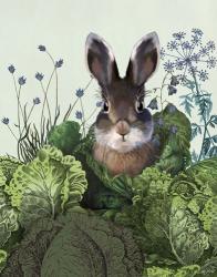 Cabbage Patch Rabbit 4 | Obraz na stenu