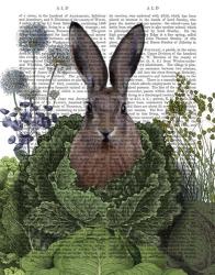 Cabbage Patch Rabbit 1 | Obraz na stenu