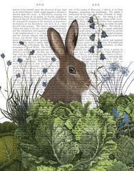 Cabbage Patch Rabbit 2 | Obraz na stenu