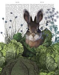 Cabbage Patch Rabbit 4 | Obraz na stenu