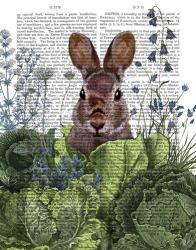 Cabbage Patch Rabbit 6 | Obraz na stenu