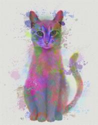 Cat Rainbow Splash 4 | Obraz na stenu
