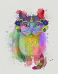 Cat Rainbow Splash 6 | Obraz na stenu