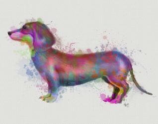 Dachshund Rainbow Splash 1 | Obraz na stenu