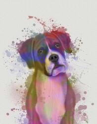 Boxer 1 Portrait Rainbow Splash | Obraz na stenu