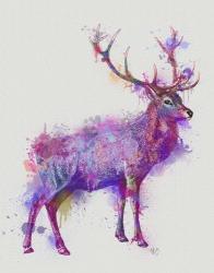 Deer 1 Rainbow Splash Purple Pink | Obraz na stenu