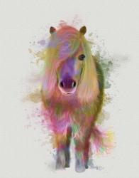 Pony 1 Full Rainbow Splash | Obraz na stenu